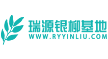  四川瑞源銀柳基地??? 企業(yè)網(wǎng)站SEO優(yōu)化案例